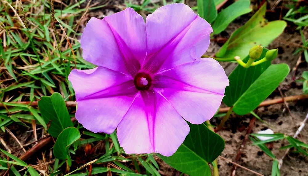 Photograph by FELOMINA ENDEREZ