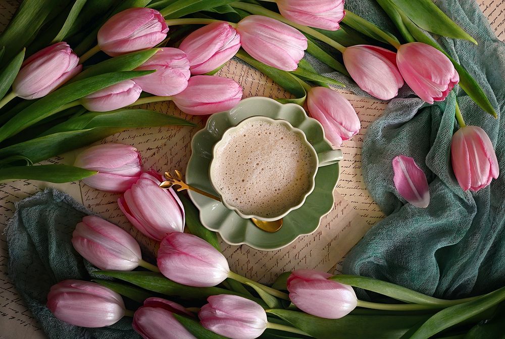 Photograph by S. Dana