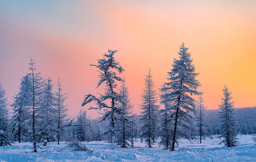 Photograph by Галина Искандарова