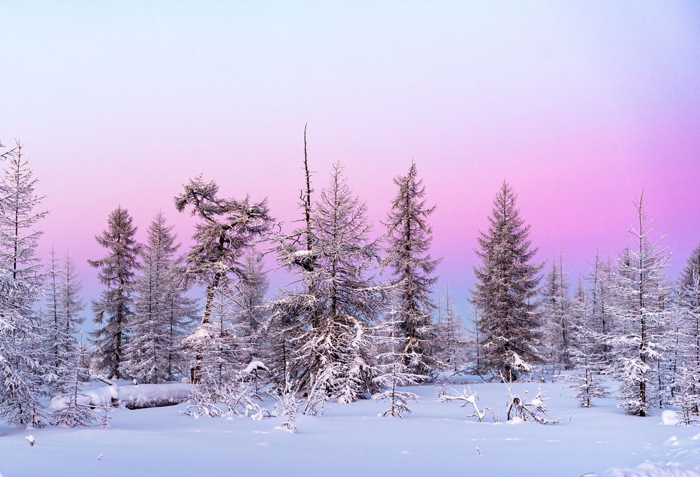 Photograph by Галина Искандарова