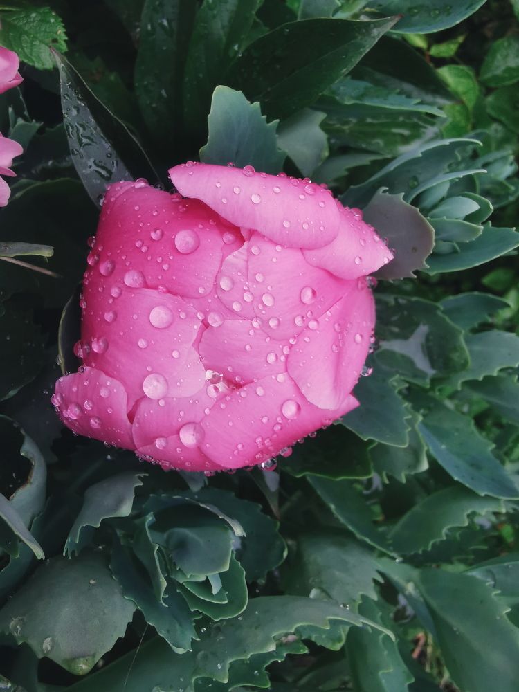 Photograph by Дарья Гомза