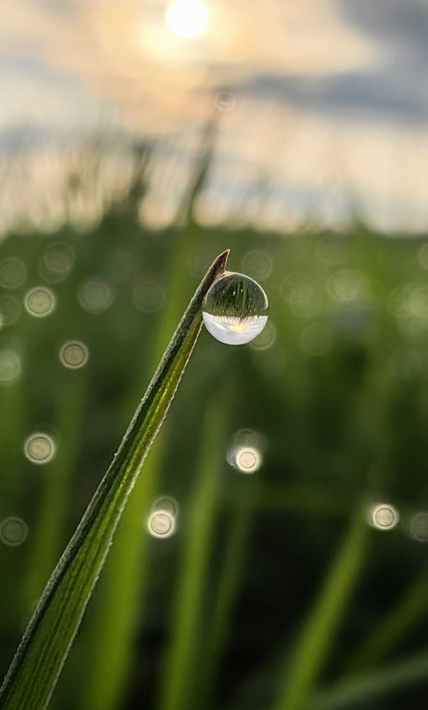 Photograph by Maiya Bulatova