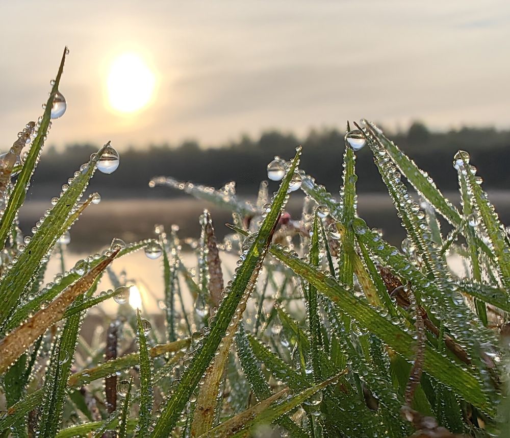 Photograph by Maiya Bulatova