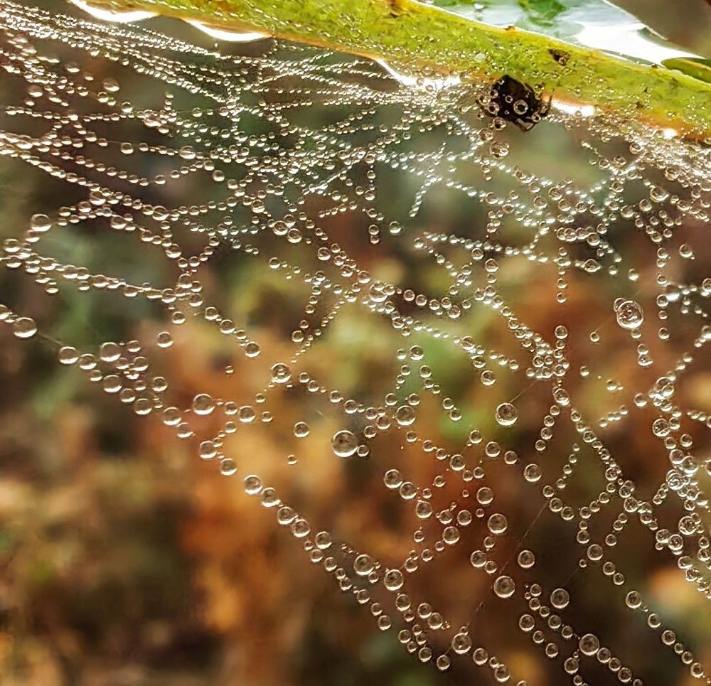 Photograph by Maiya Bulatova