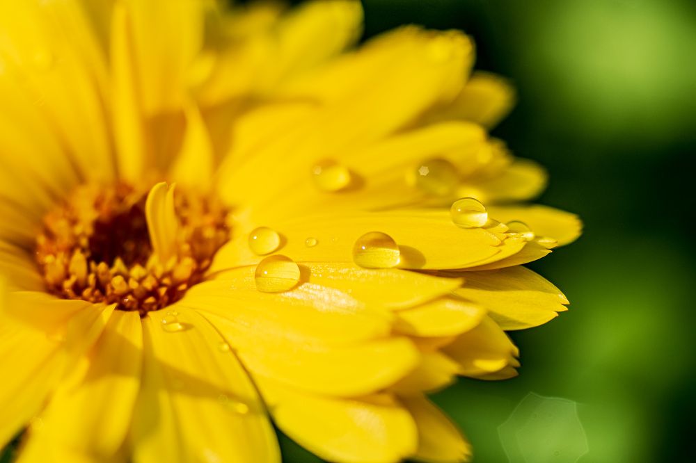 Photograph by Irina Luidinshina