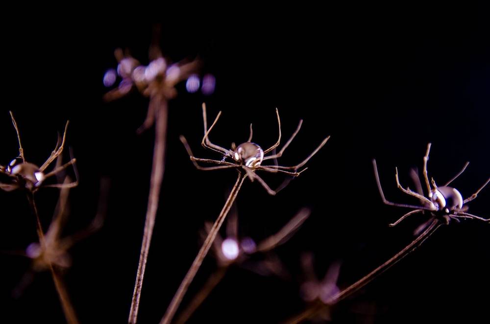 Photograph by Любовь Бусова