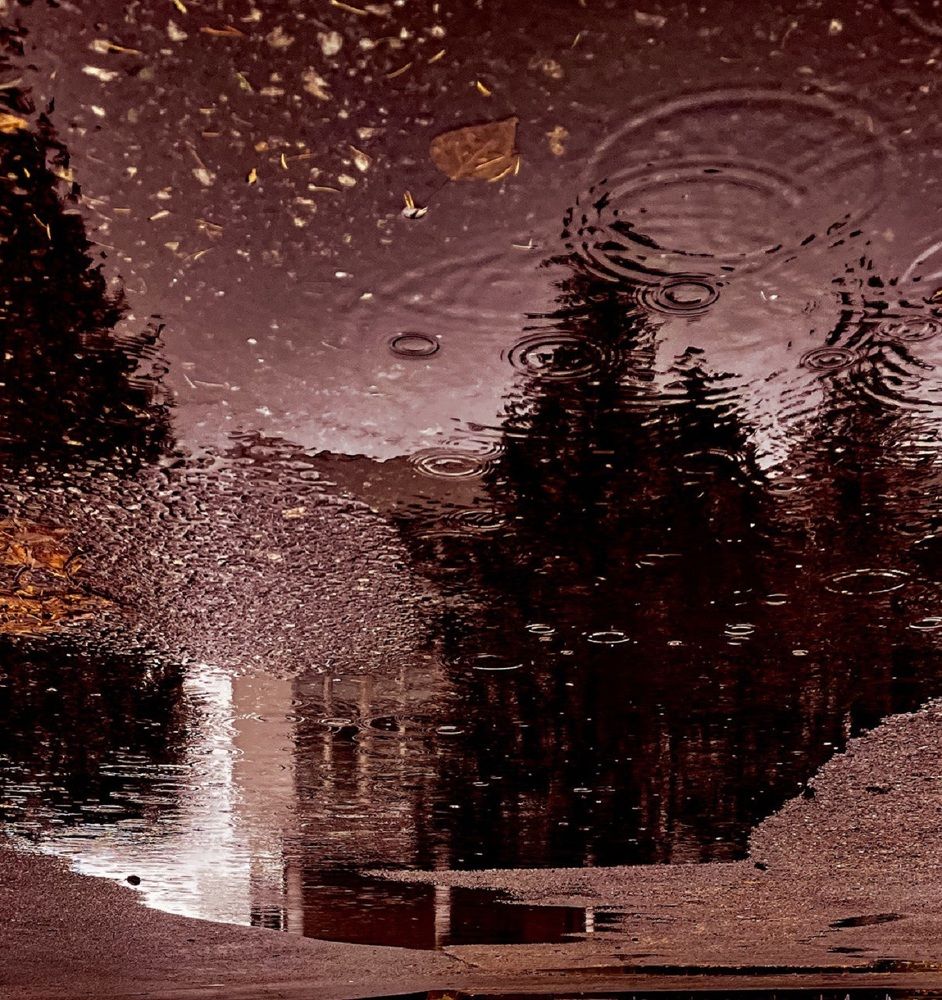Фотография автора Анастасия Огурцова