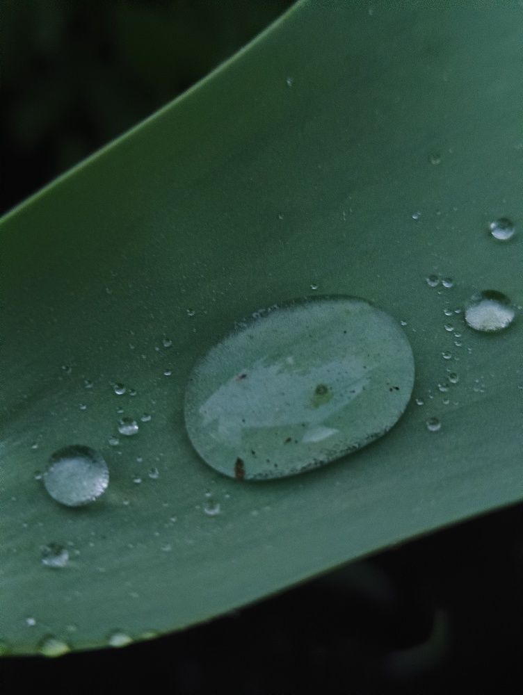 Фотография автора Оксана Радзиевская