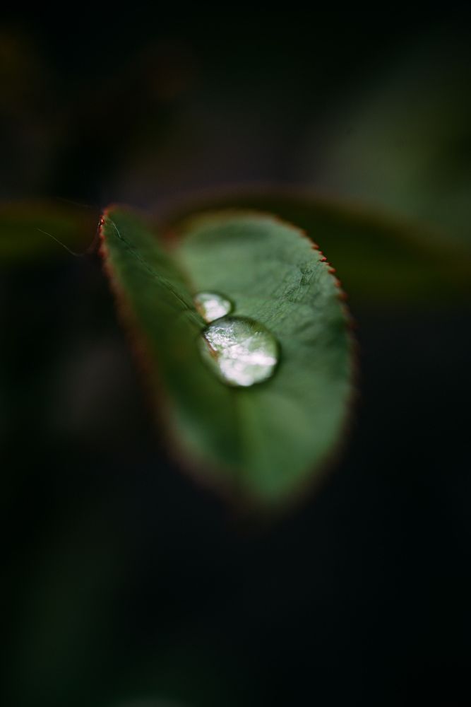 Photograph by Viktoriia Shin