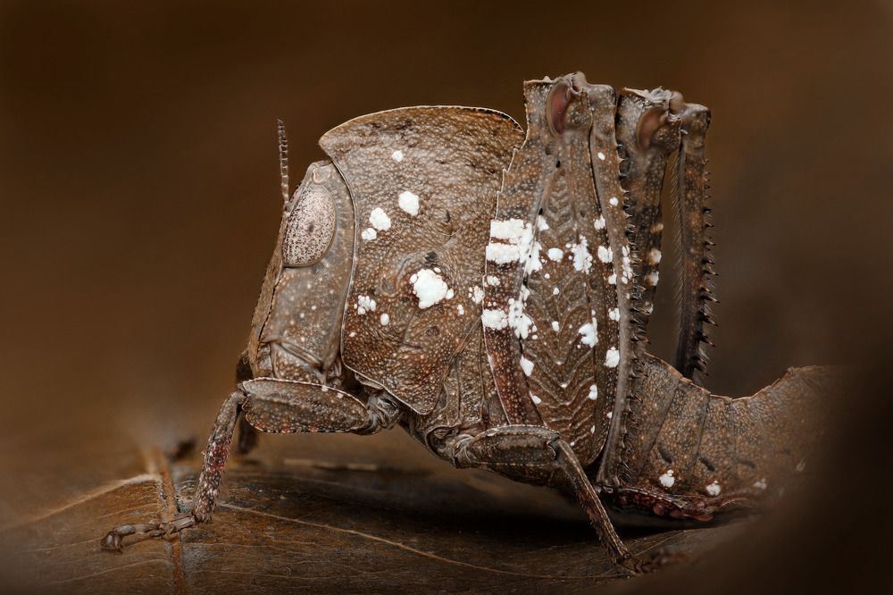 Фотография автора Tran Anh Tuan