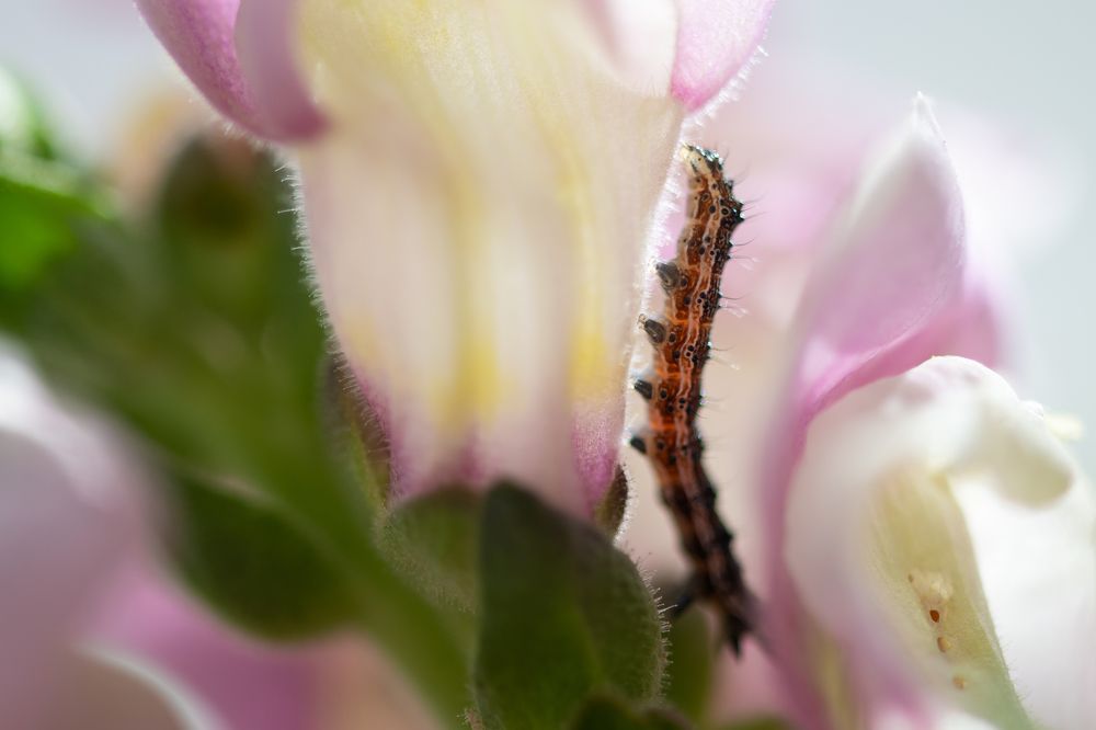 Photograph by Кадырова Марина