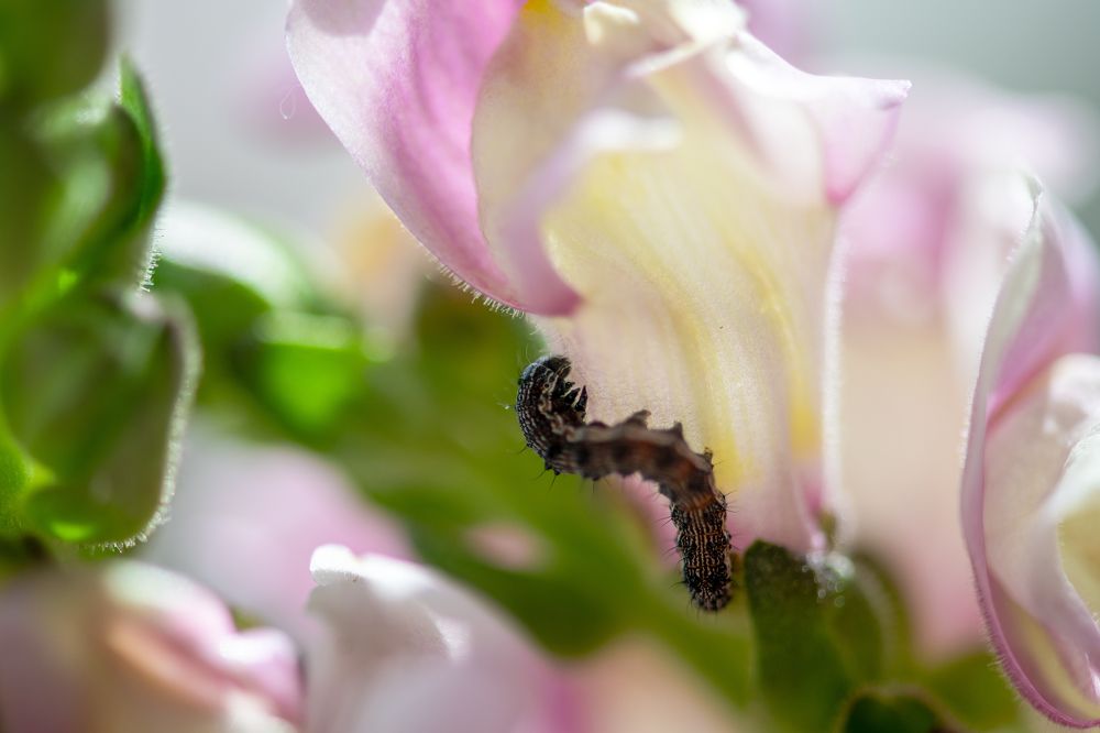 Photograph by Кадырова Марина