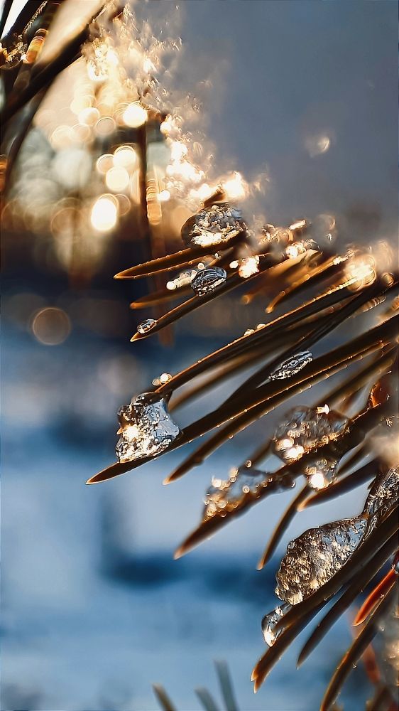 Photograph by Ульяна Северинова