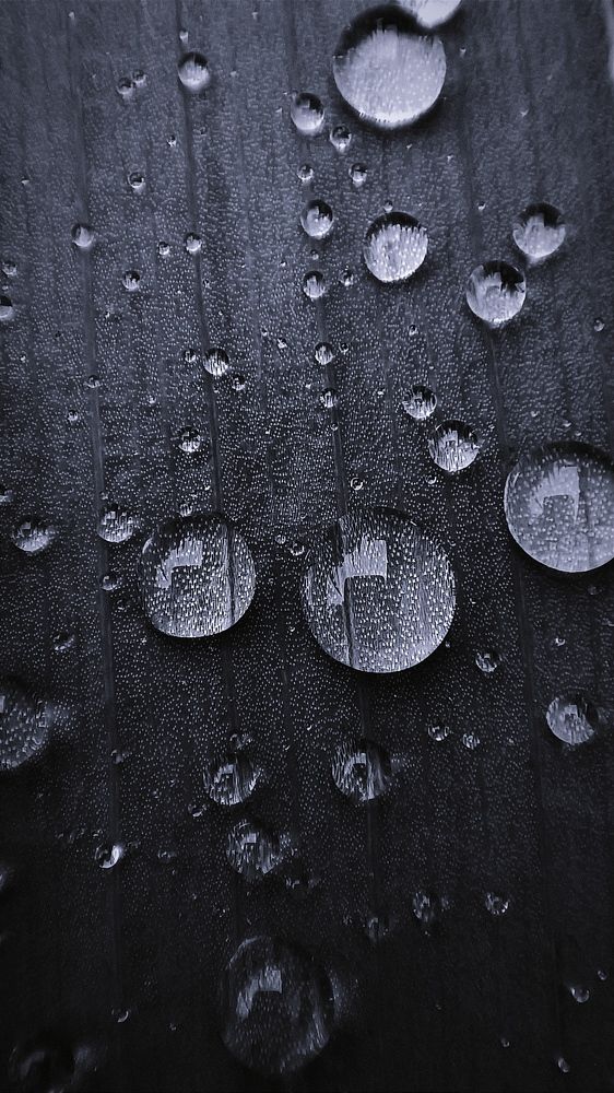 Photograph by Ульяна Северинова