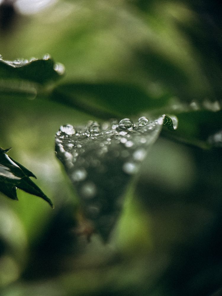 Фотография автора Юлия Осетрова