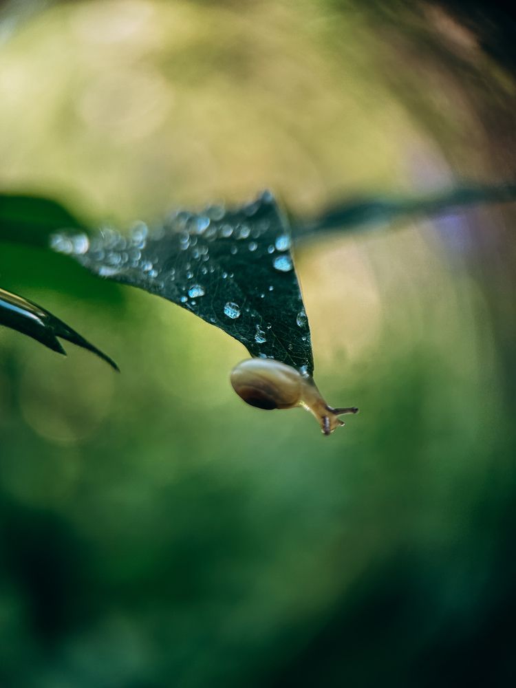 Фотография автора Юлия Осетрова