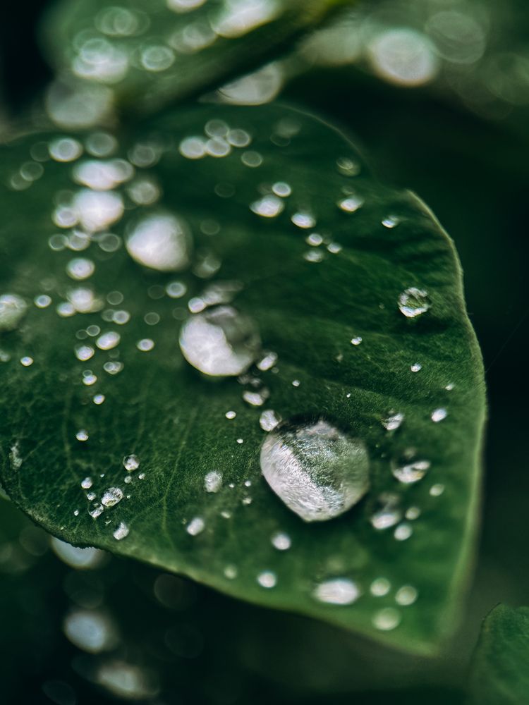 Фотография автора Юлия Осетрова