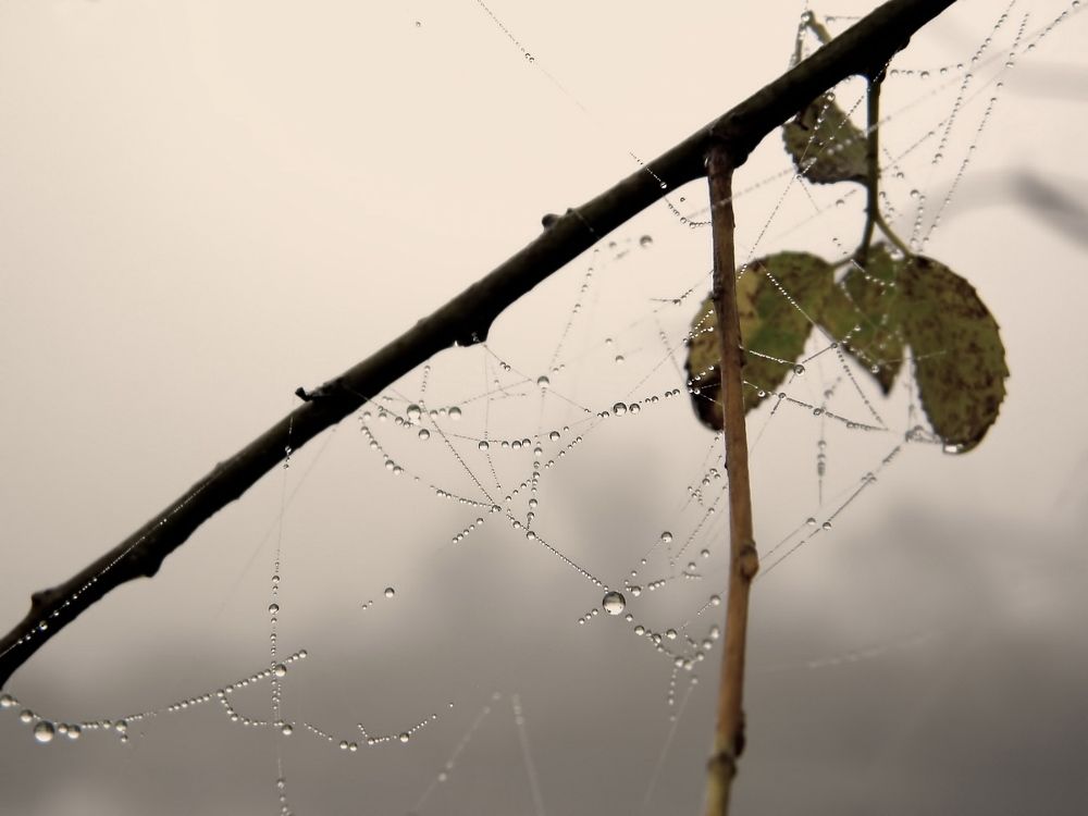 Photograph by Савоцкий Роман