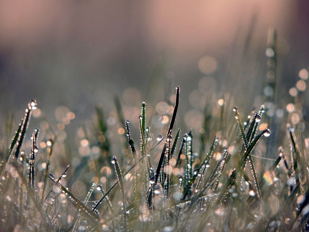 Photograph by Савоцкий Роман