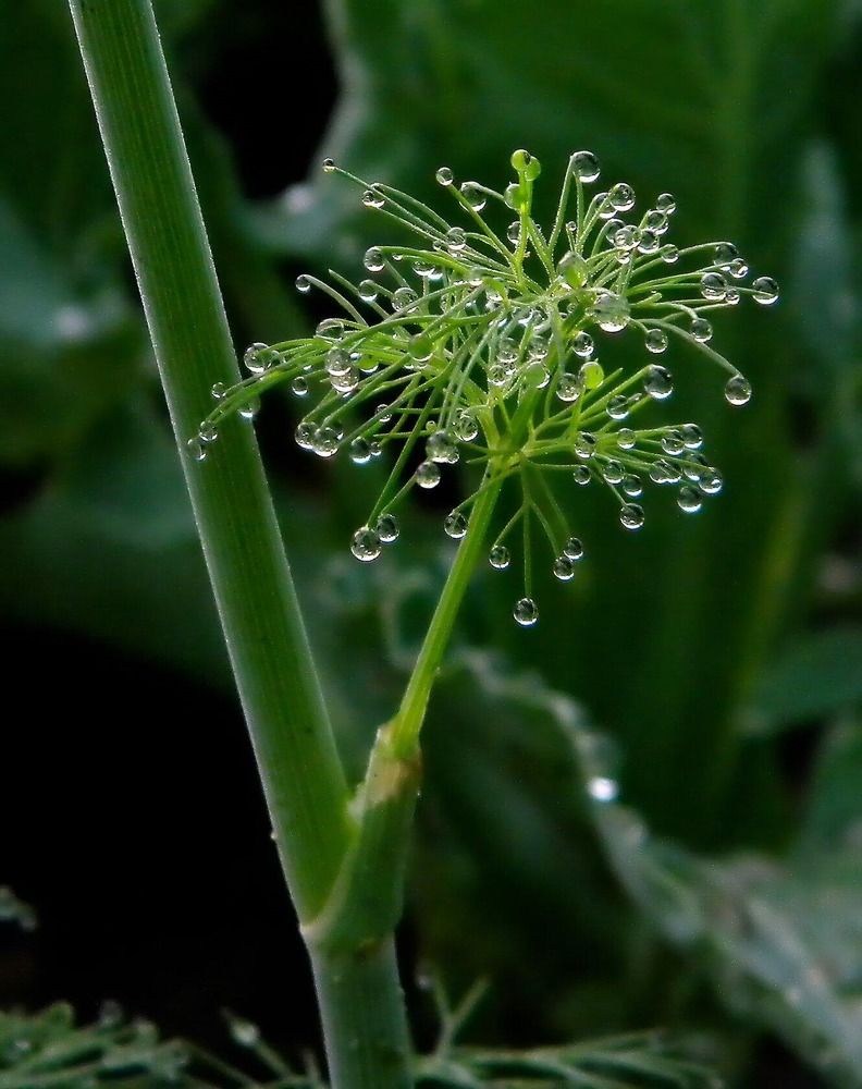 Фотография автора Роман Савоцкий