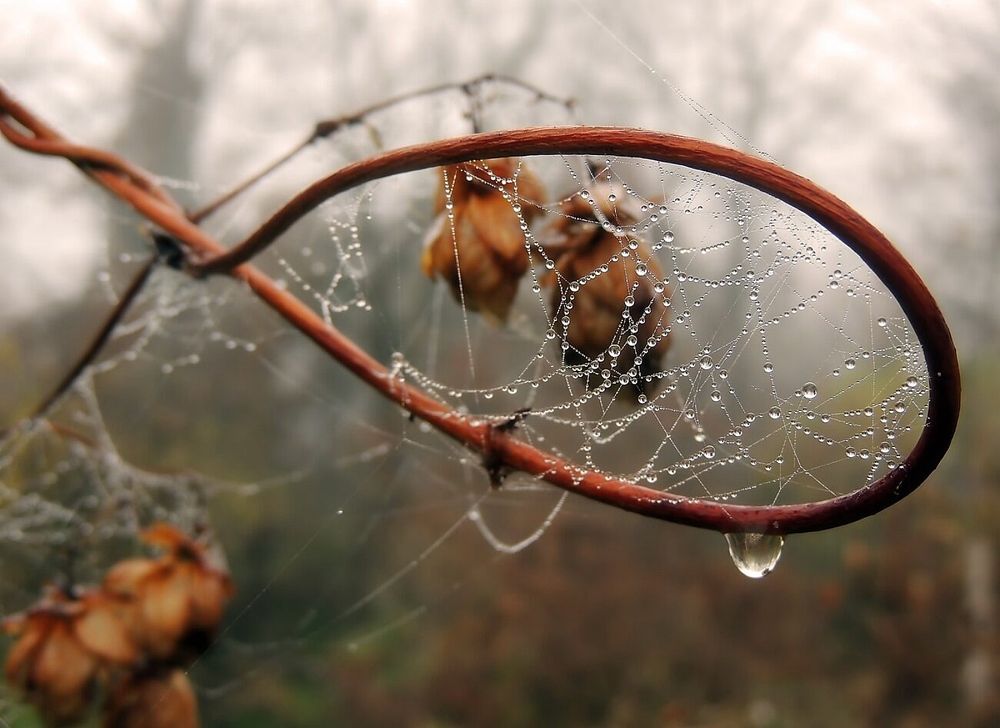 Фотография автора Роман Савоцкий