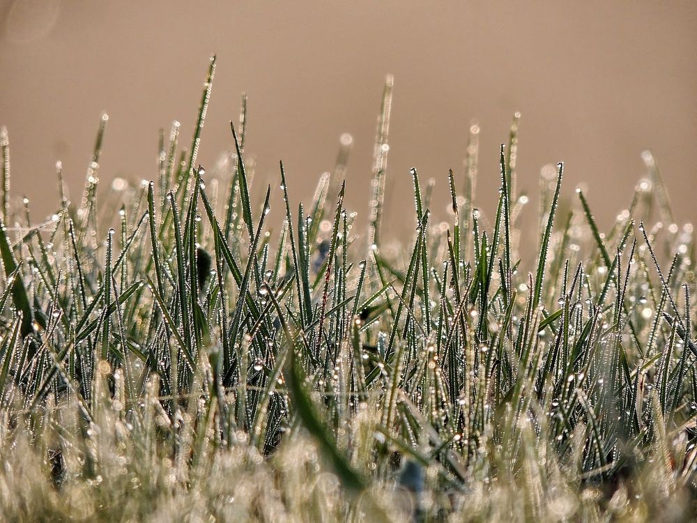 Фотография автора Роман Савоцкий