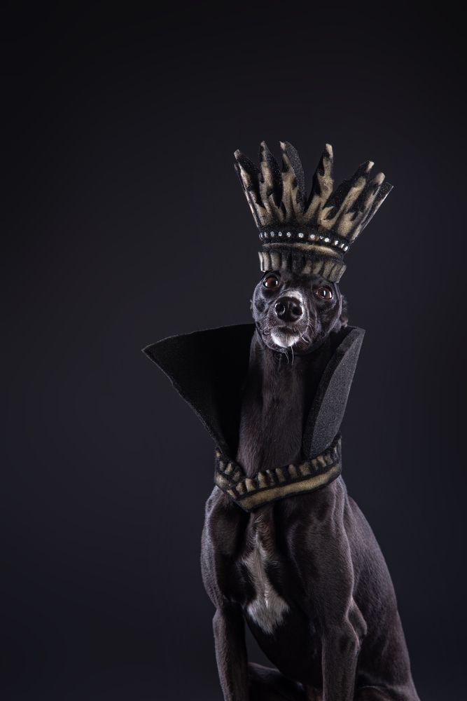 Photograph by наталья залогина