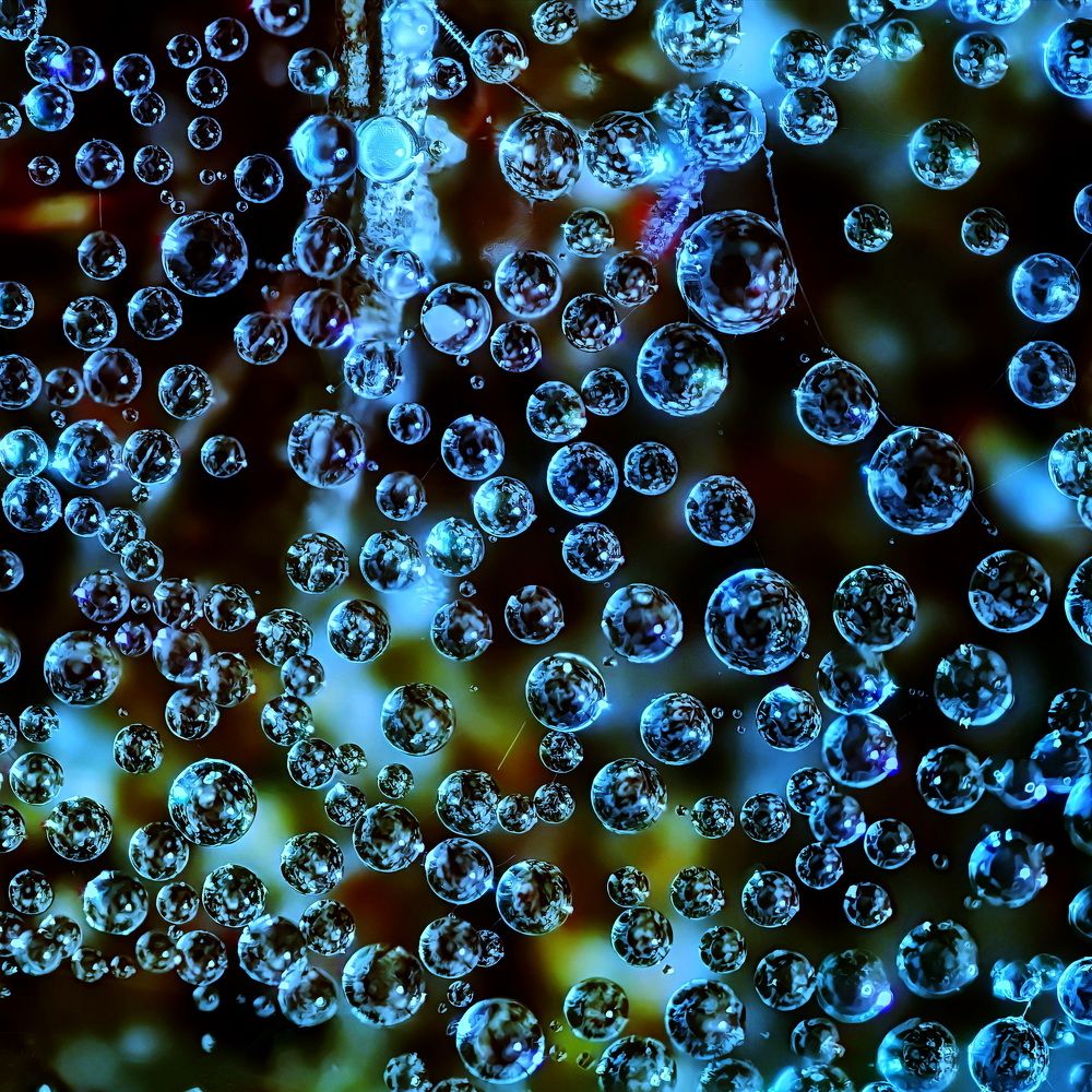 Photograph by Кузнецов Дмитрий