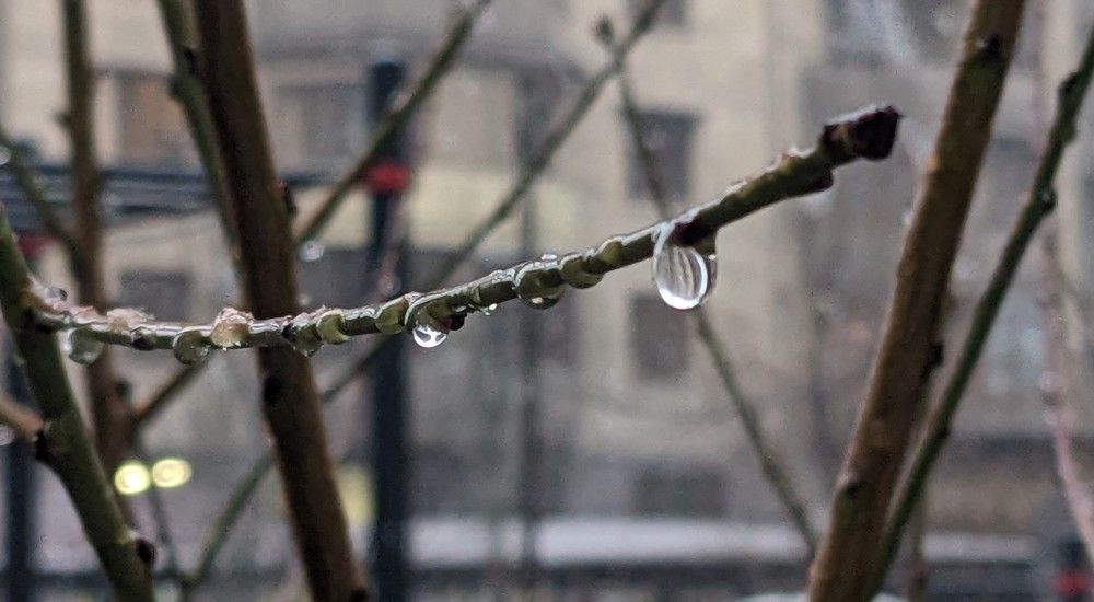 Photograph by Lilit Petrosyan