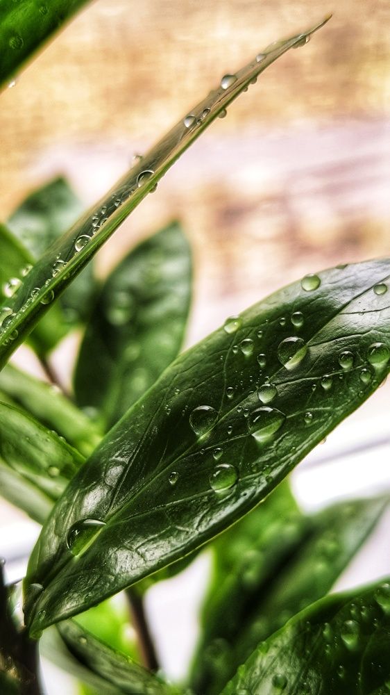 Photograph by Олеся