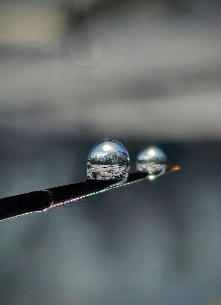 Фотография автора Ольга Костенко