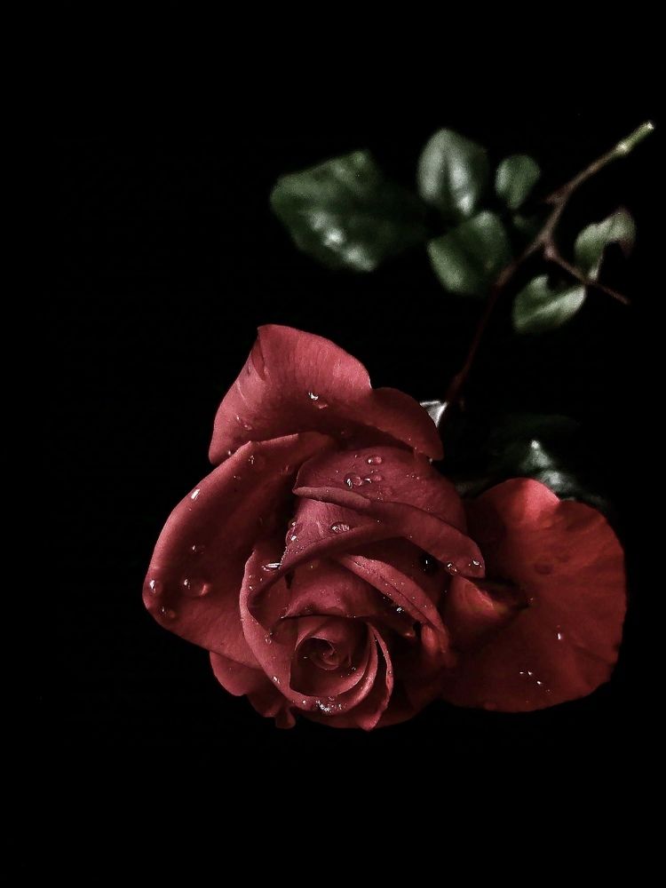 Photograph by Олеся