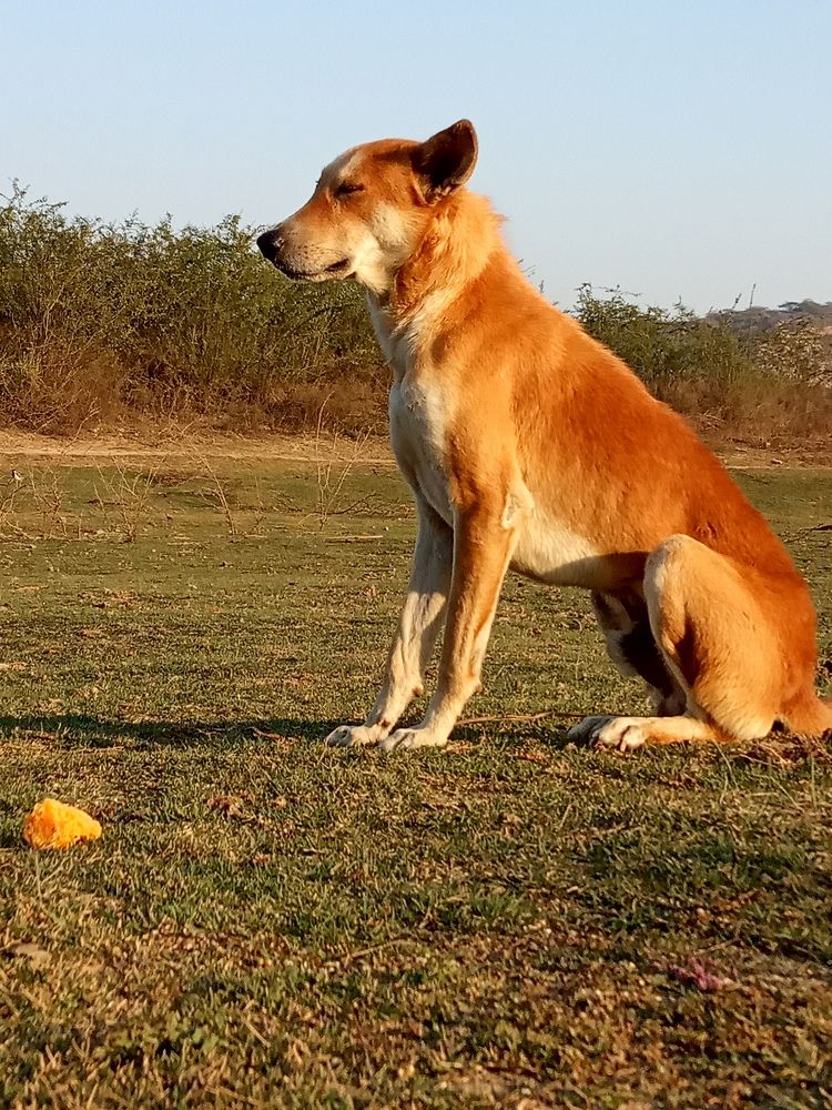 Photograph by Ritu Dinkar