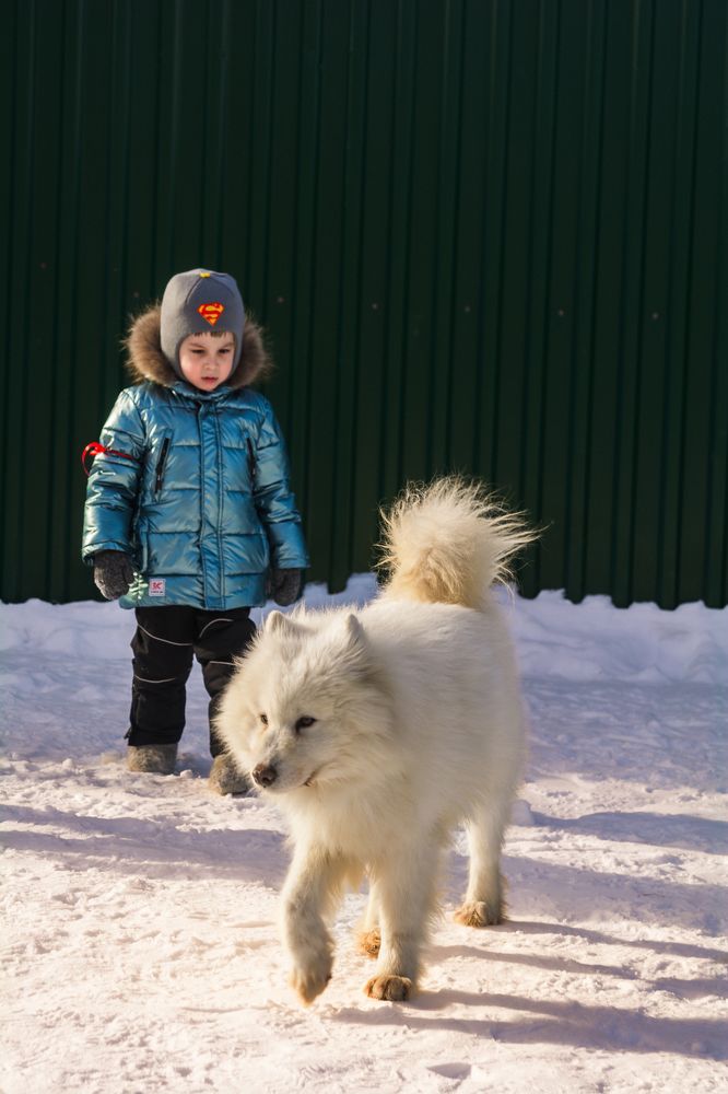 Photograph by Артём Александрович