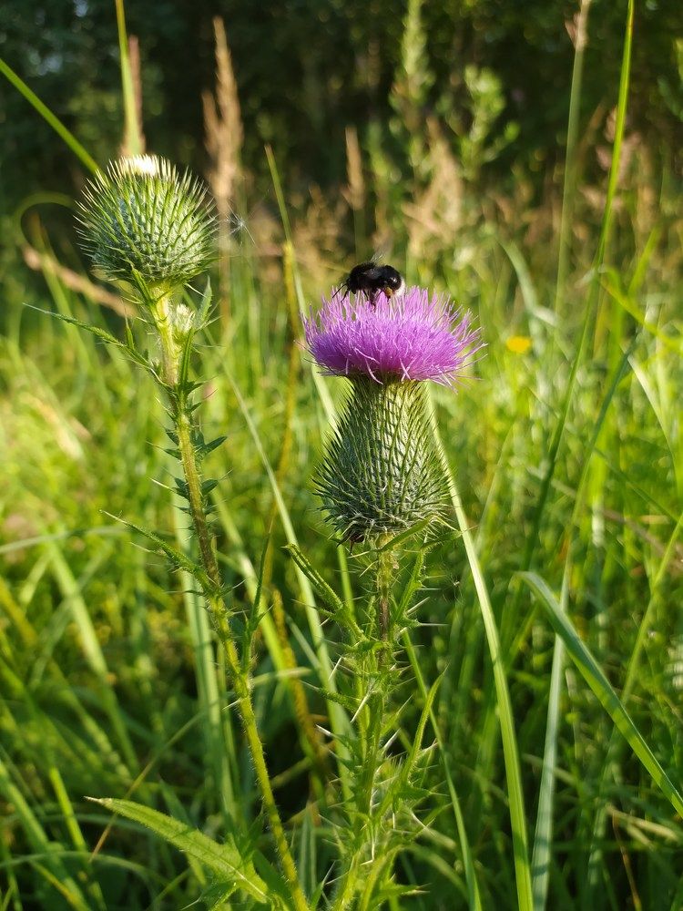 Фотография автора Дарья Петровская