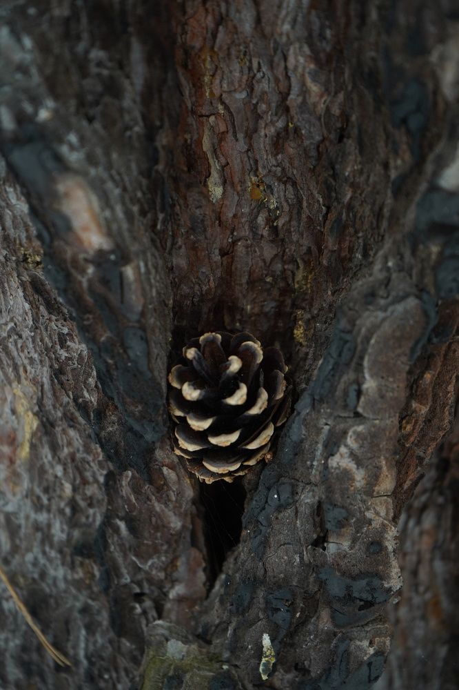 Photograph by Любовь Лунина