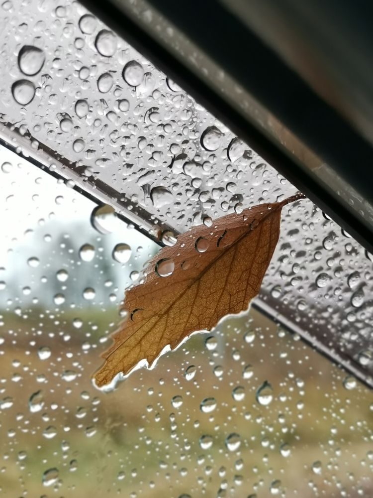 Photograph by Любовь Лунина