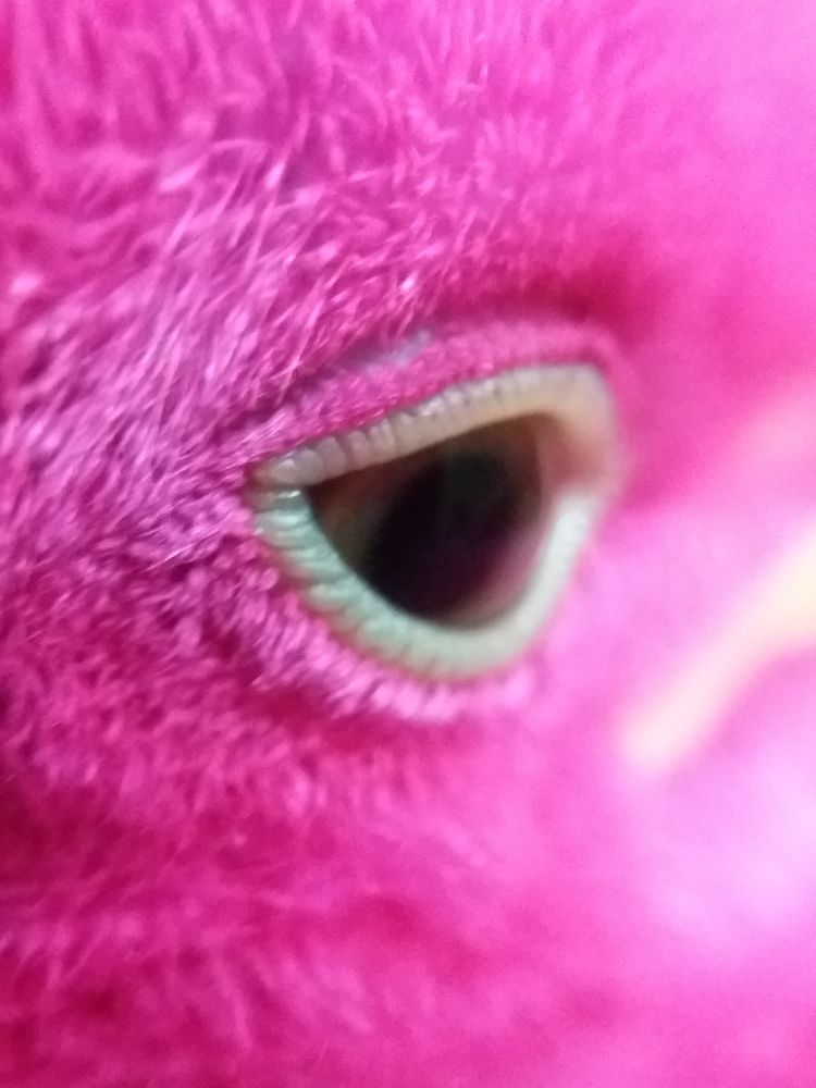 Photograph by Ritu Dinkar