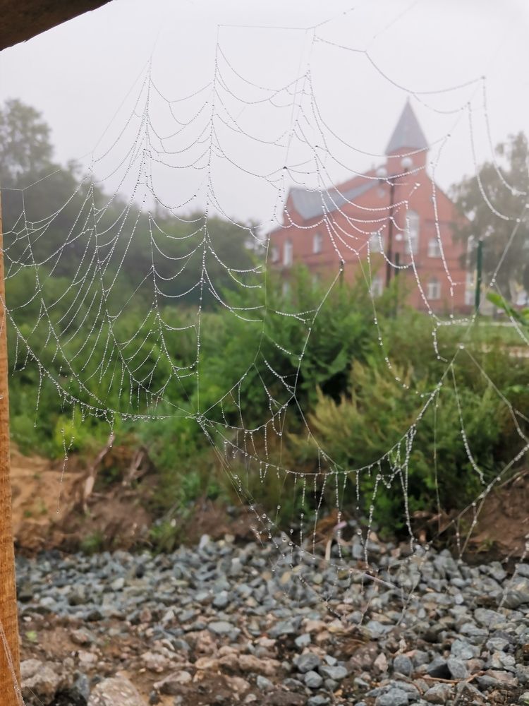 Photograph by Любовь Лунина