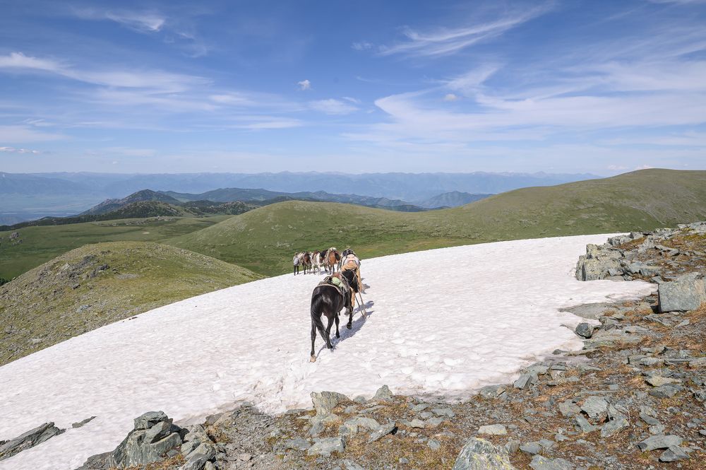 Photograph by Юлия Гридина