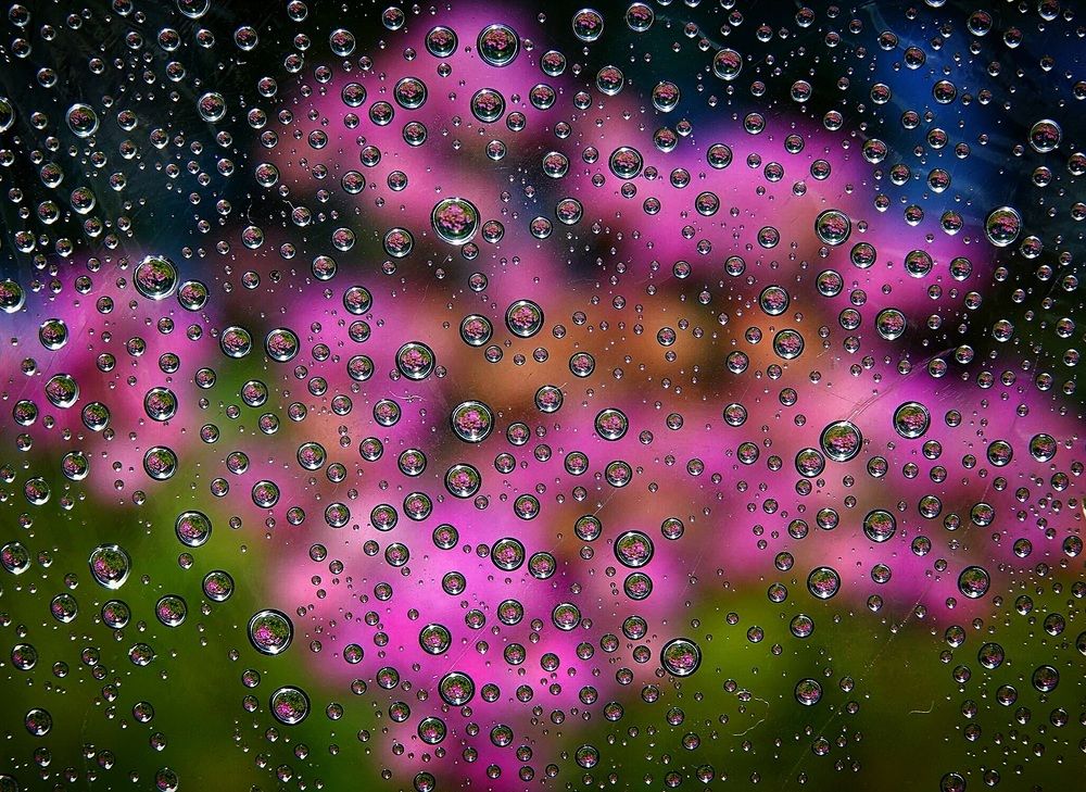 Осенний сюжет.