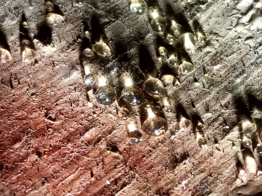 Photograph by Ritu Dinkar