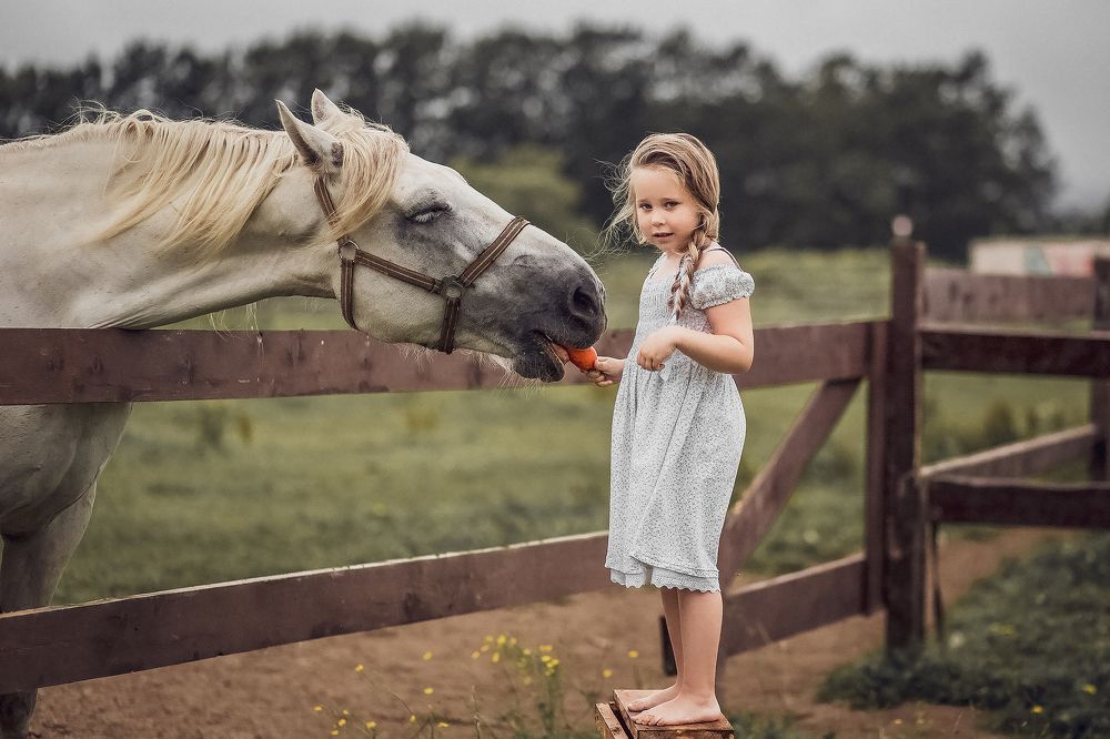 Photograph by Эбингер Дмитрий