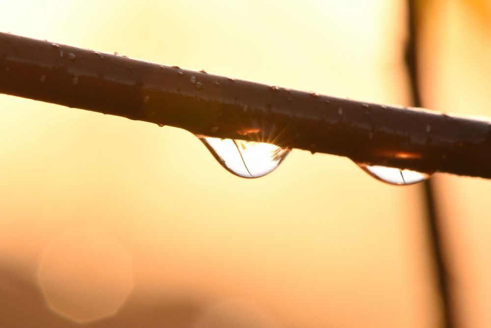 Photograph by Семен Батов