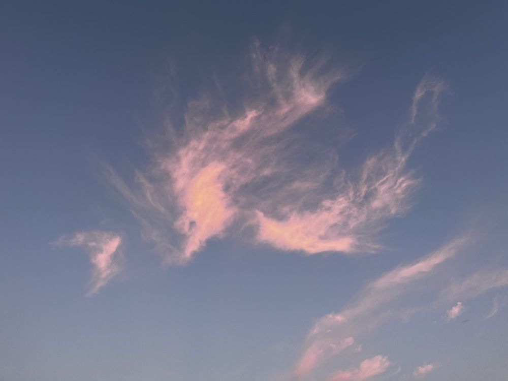 Photograph by Alina Tsilyk