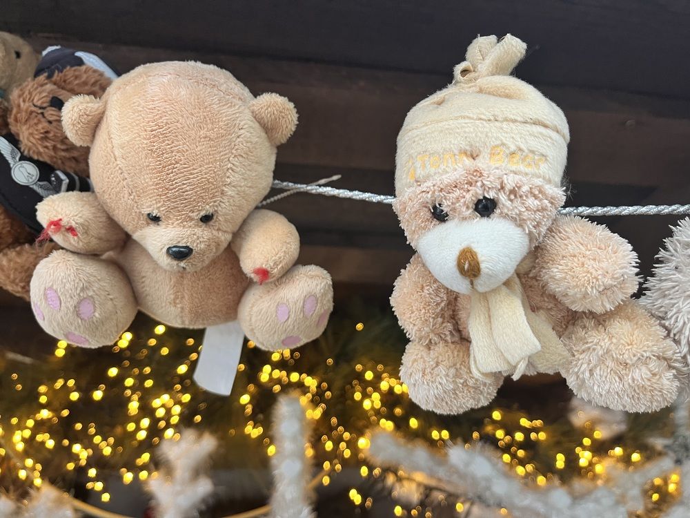 Photograph by Alina Tsilyk