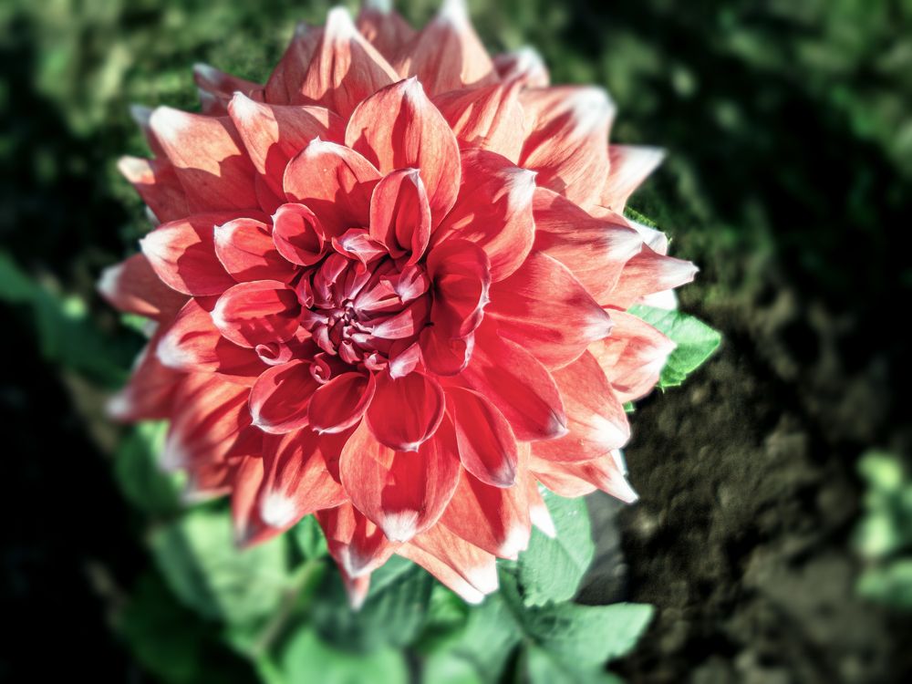 Фотография автора savitri Rawat