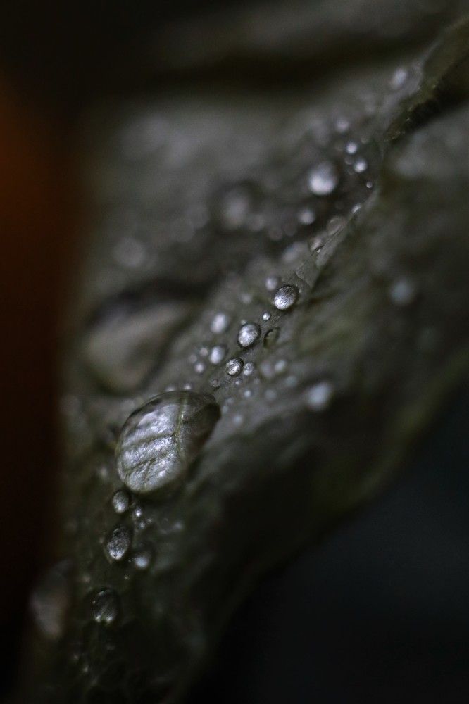 Photograph by Переверзева Татьяна