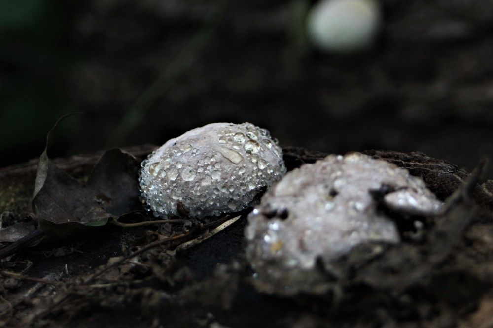 Photograph by Переверзева Татьяна