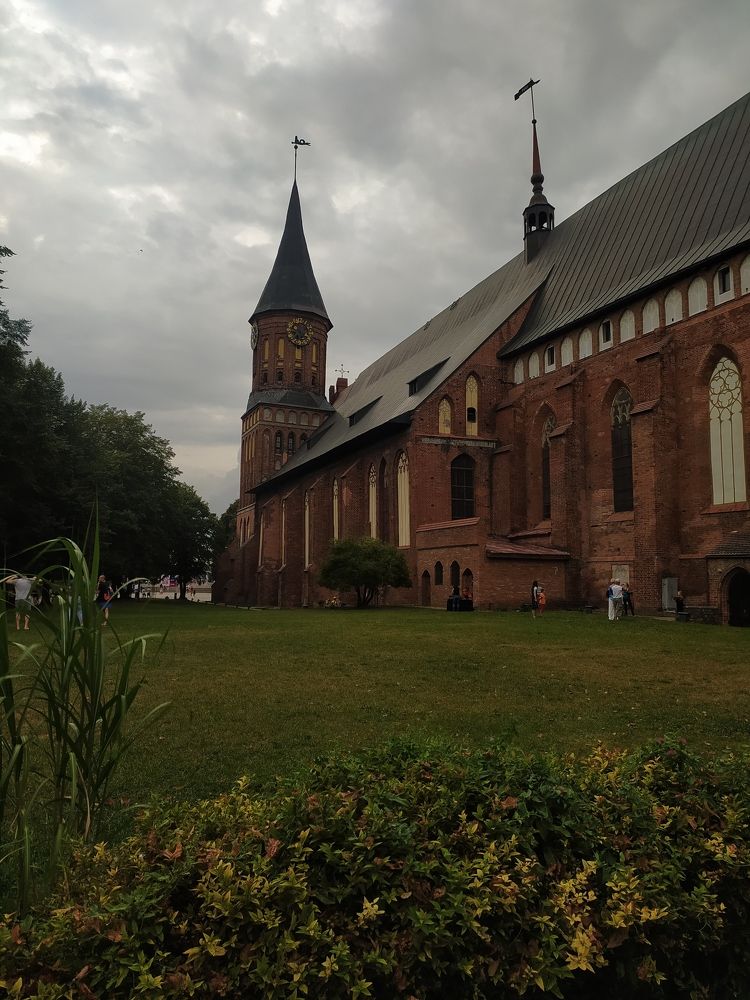 Фотография автора Дарья Петровская